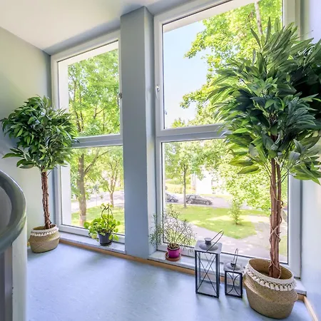 2og Mitte Helle 70m 2 Naehe Salzburg By Interhome דירה פריילאסינג